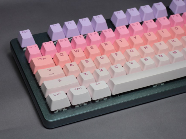 tai hao sakura michi amazon